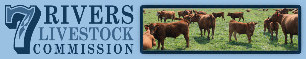 7Riverslivestock