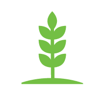 Coopservicesinc